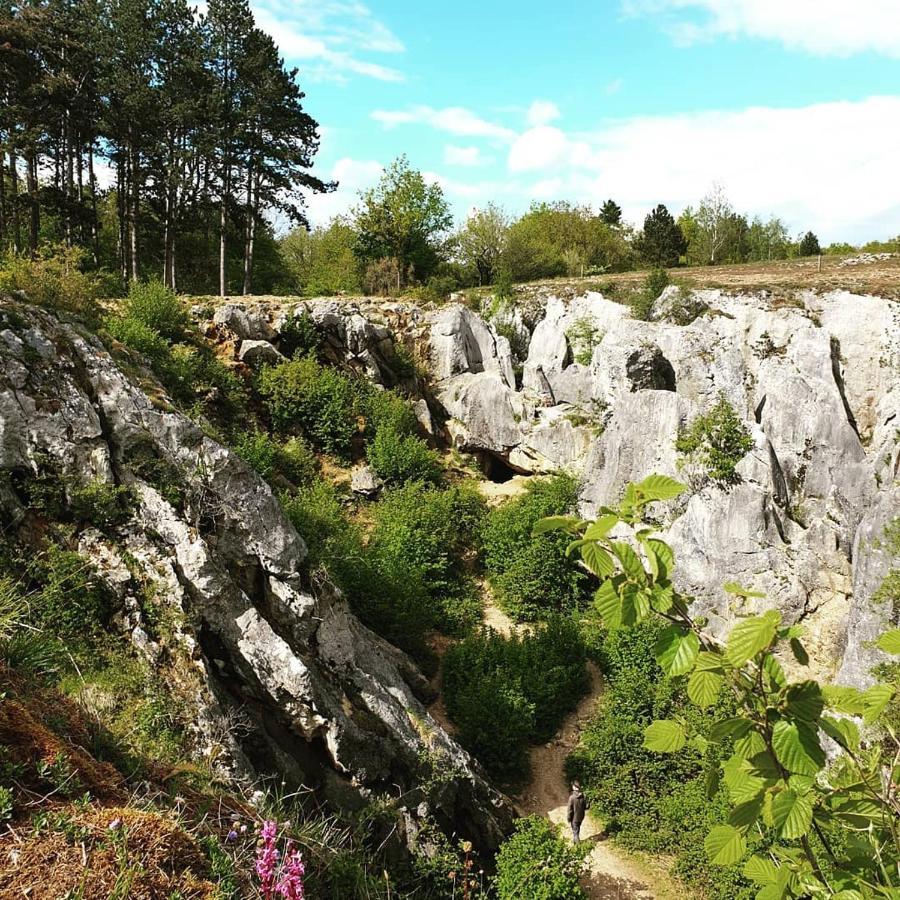 Verblijfpark Ardinam Olloy-sur-Viroin Экстерьер фото